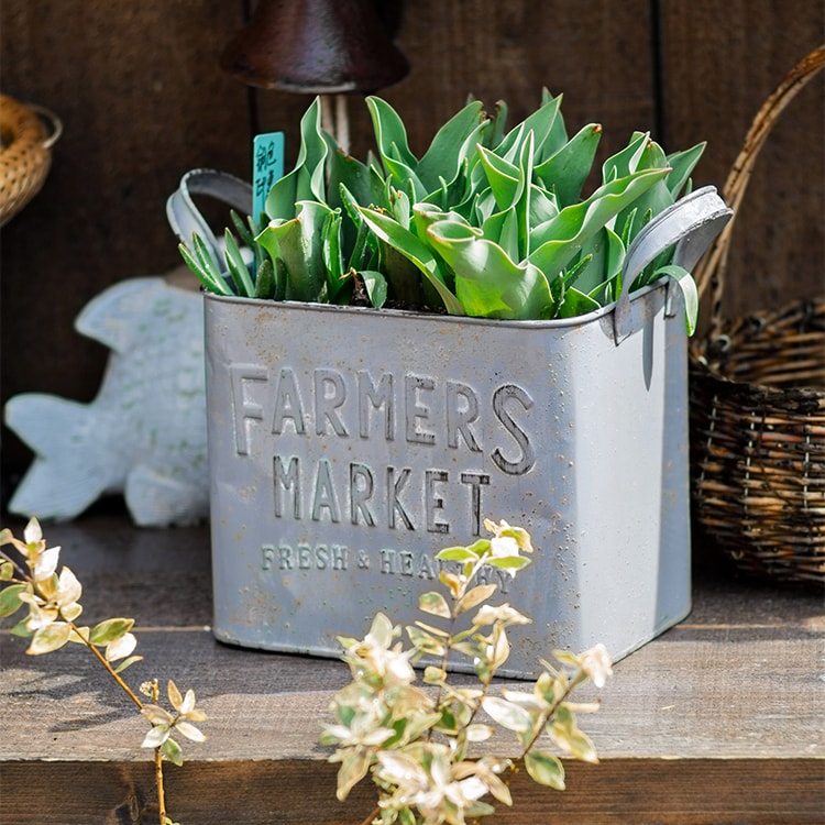 Rectangular gray flower pot made of iron, featuring a rustic design, perfect for decorative use in gardens or homes.