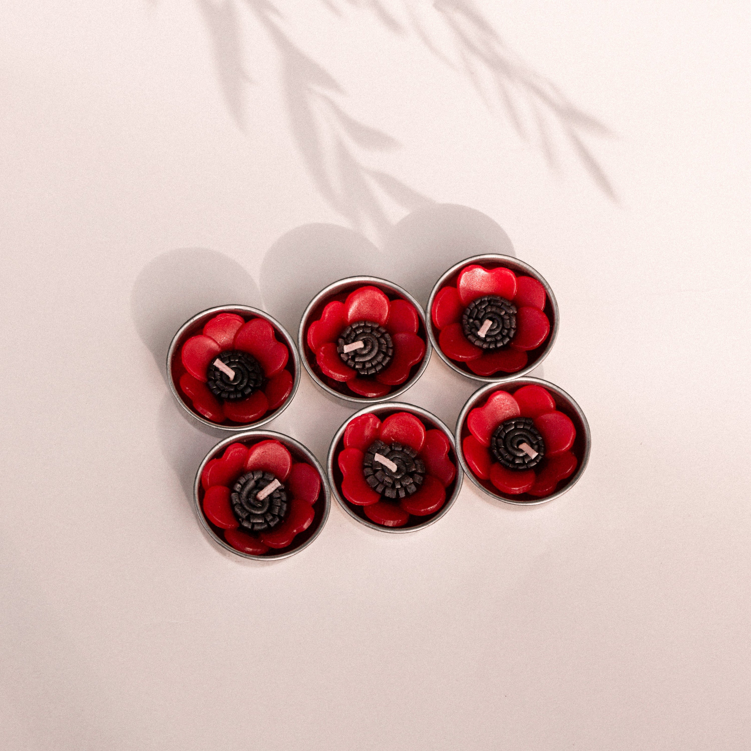 A set of eight red poppy scented tealights in a decorative botanical garden box, showcasing their vibrant color and unique flower shape.