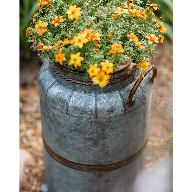 Restoration Flower Pot in gray-brown metal, showcasing its rustic design and durable construction, perfect for indoor and outdoor plants.