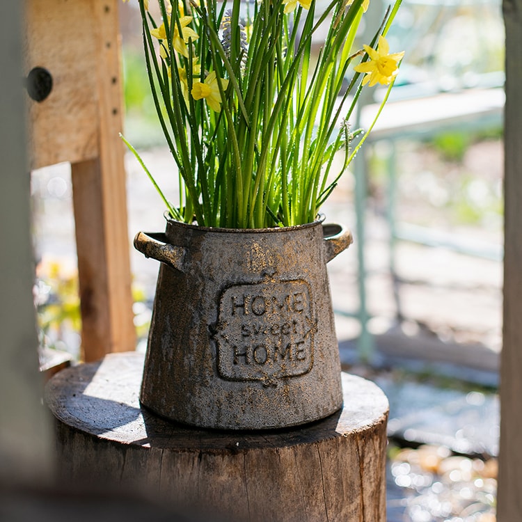 Restoration Sweet Home Flower Pot in rusty gold finish, showcasing its elegant design and sturdy metal construction.