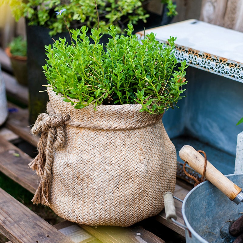 Ribbon Bag Style Concrete Garden Pot in khaki color with hemp rope detailing, showcasing its unique design and drainage hole.