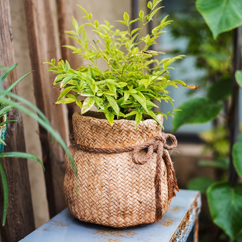 Ribbon Bag Style Concrete Garden Pot in khaki color with hemp rope detailing, showcasing its unique design and drainage hole.