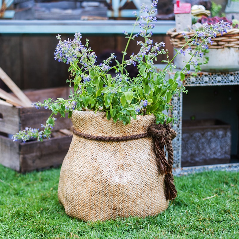 Ribbon Bag Style Concrete Garden Pot in khaki color with hemp rope detailing, showcasing its unique design and drainage hole.