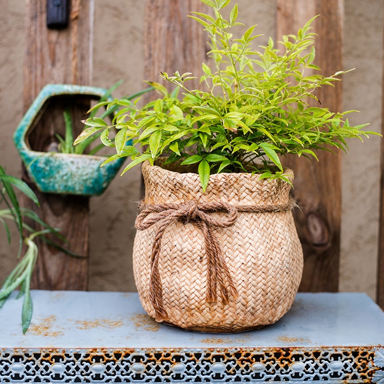 Ribbon Bag Style Concrete Garden Pot in khaki color with hemp rope detailing, showcasing its unique design and drainage hole.