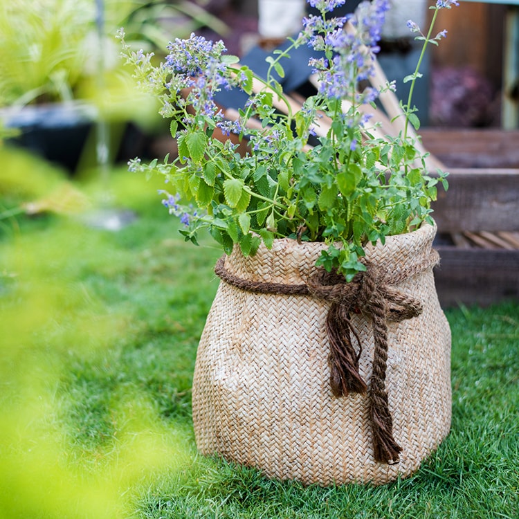 Ribbon Bag Style Concrete Garden Pot in khaki color with hemp rope detailing, showcasing its unique design and drainage hole.