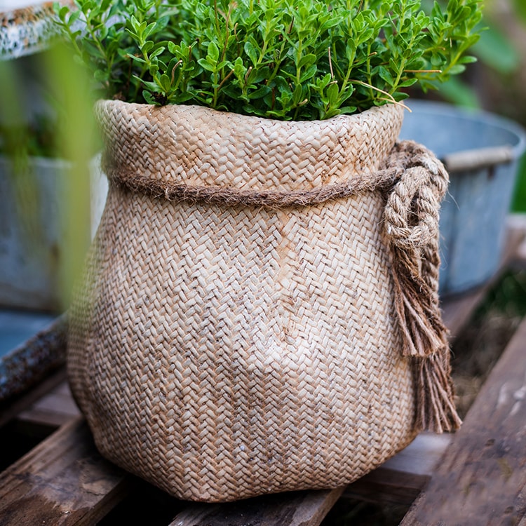 Ribbon Bag Style Concrete Garden Pot in khaki color with hemp rope detailing, showcasing its unique design and drainage hole.