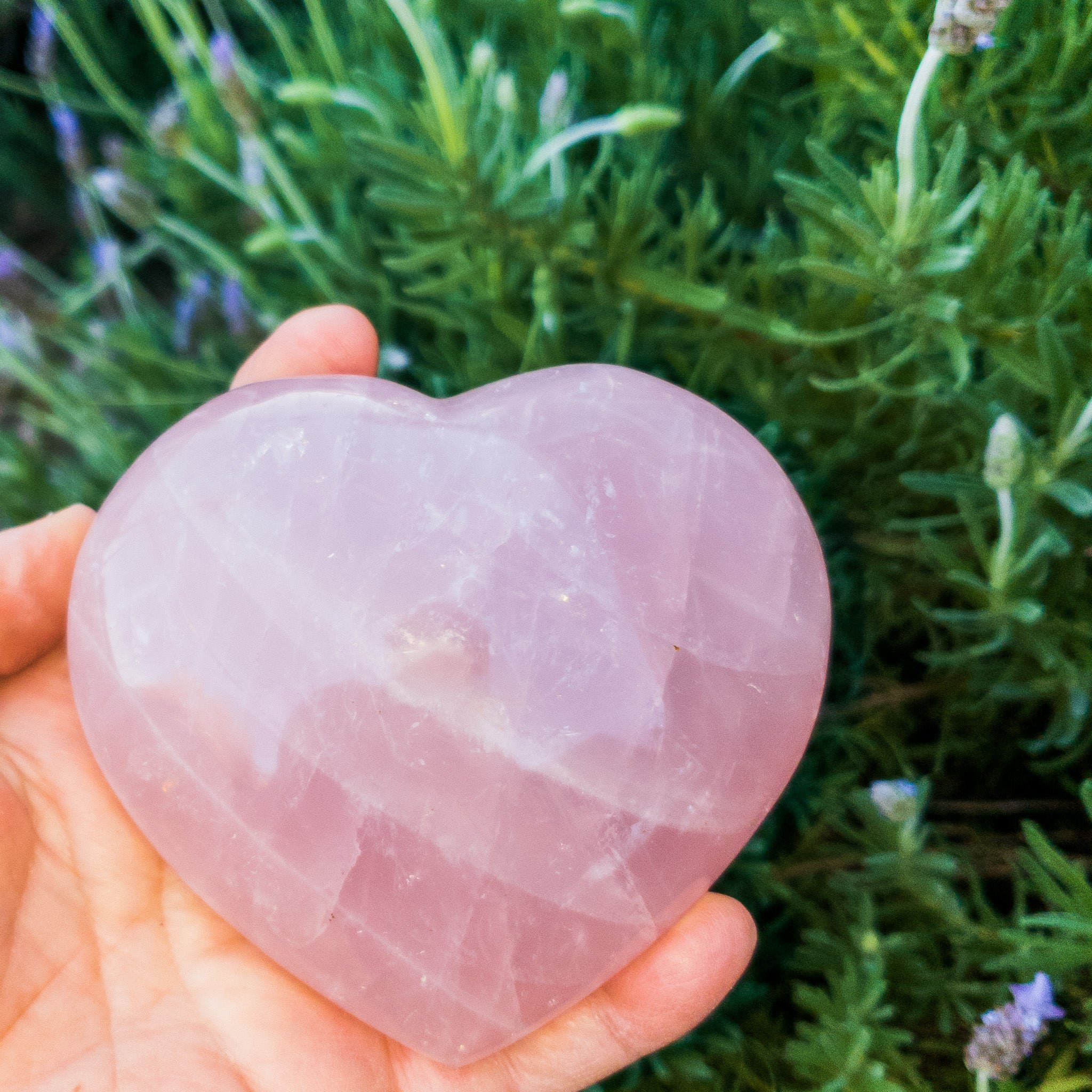 A collection of beautiful rose quartz hearts, showcasing their soft pink color and unique shapes, perfect for decoration or gifting.