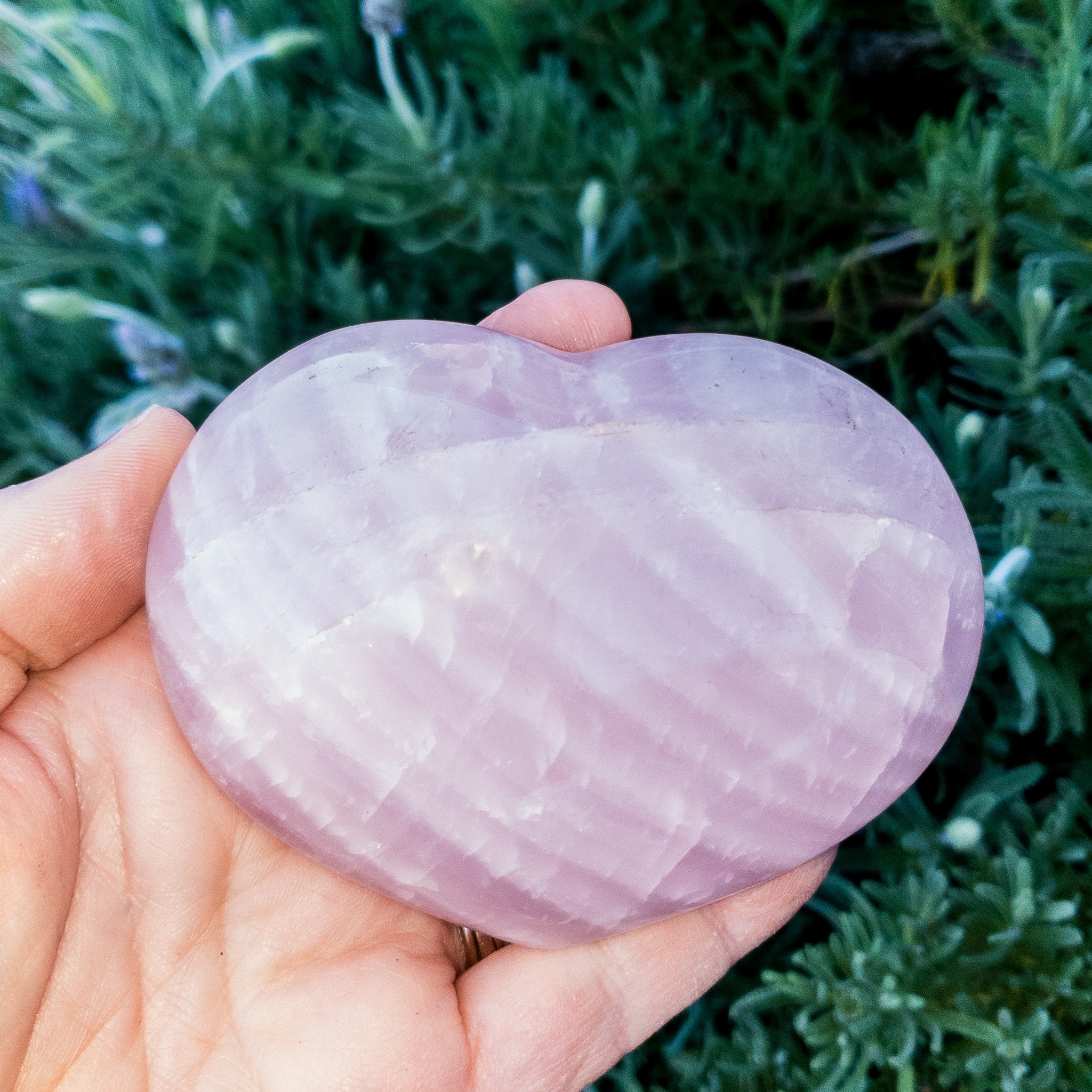 A collection of beautiful rose quartz hearts, showcasing their soft pink color and unique shapes, perfect for decoration or gifting.