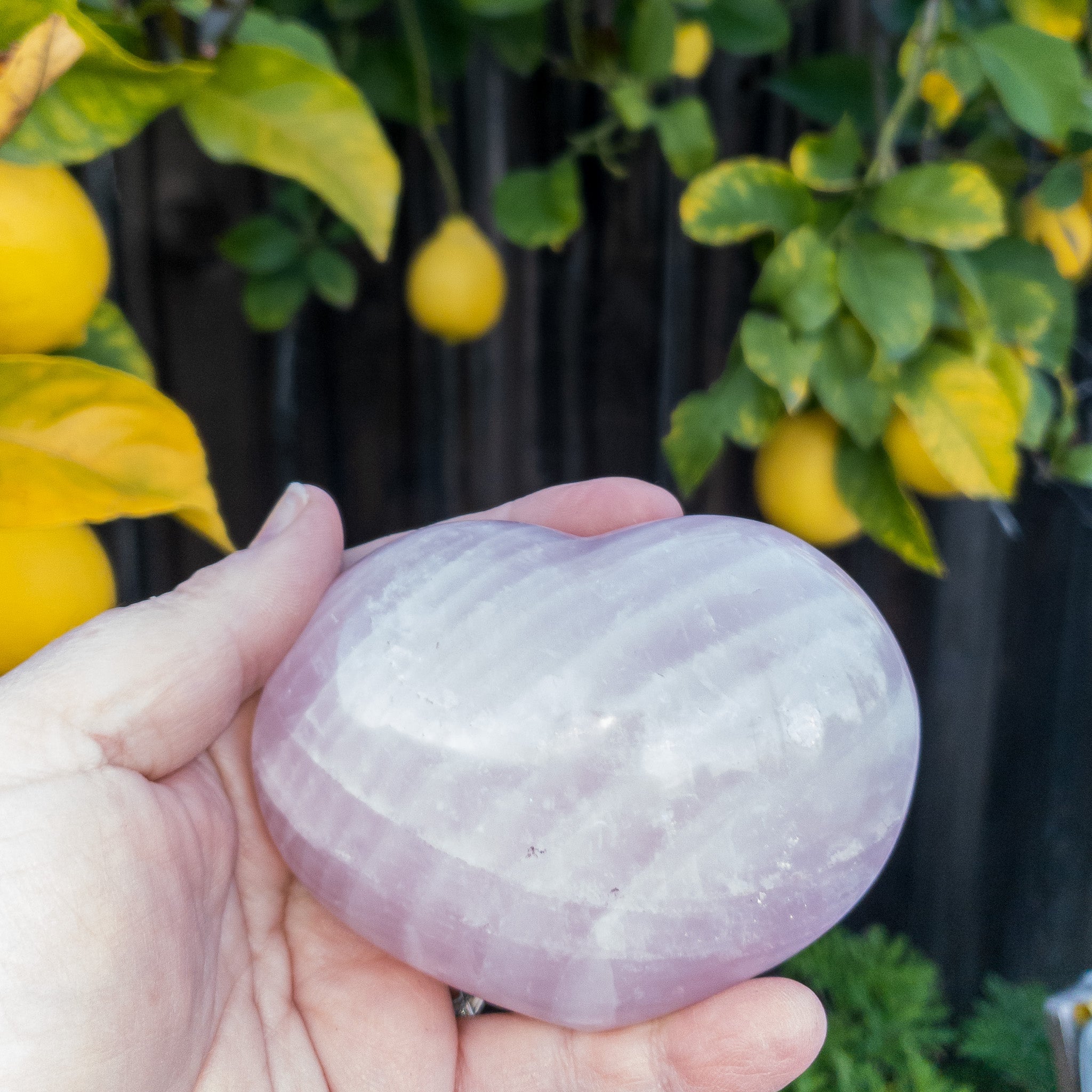 A collection of beautiful rose quartz hearts, showcasing their soft pink color and unique shapes, perfect for decoration or gifting.