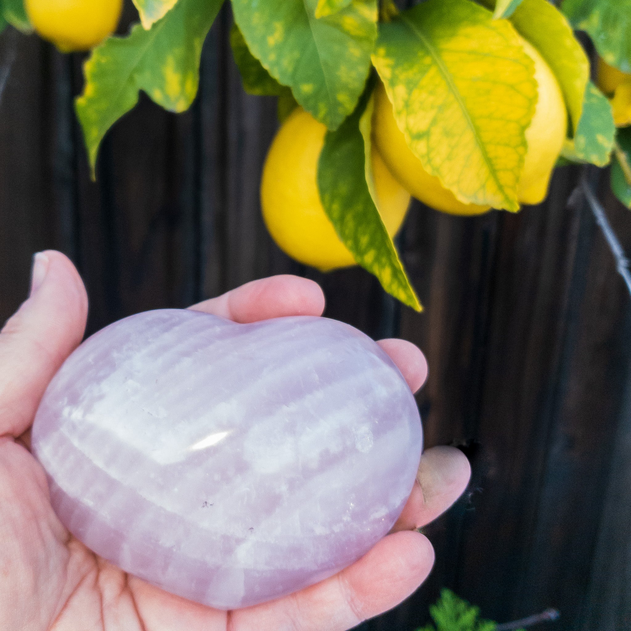 A collection of beautiful rose quartz hearts, showcasing their soft pink color and unique shapes, perfect for decoration or gifting.