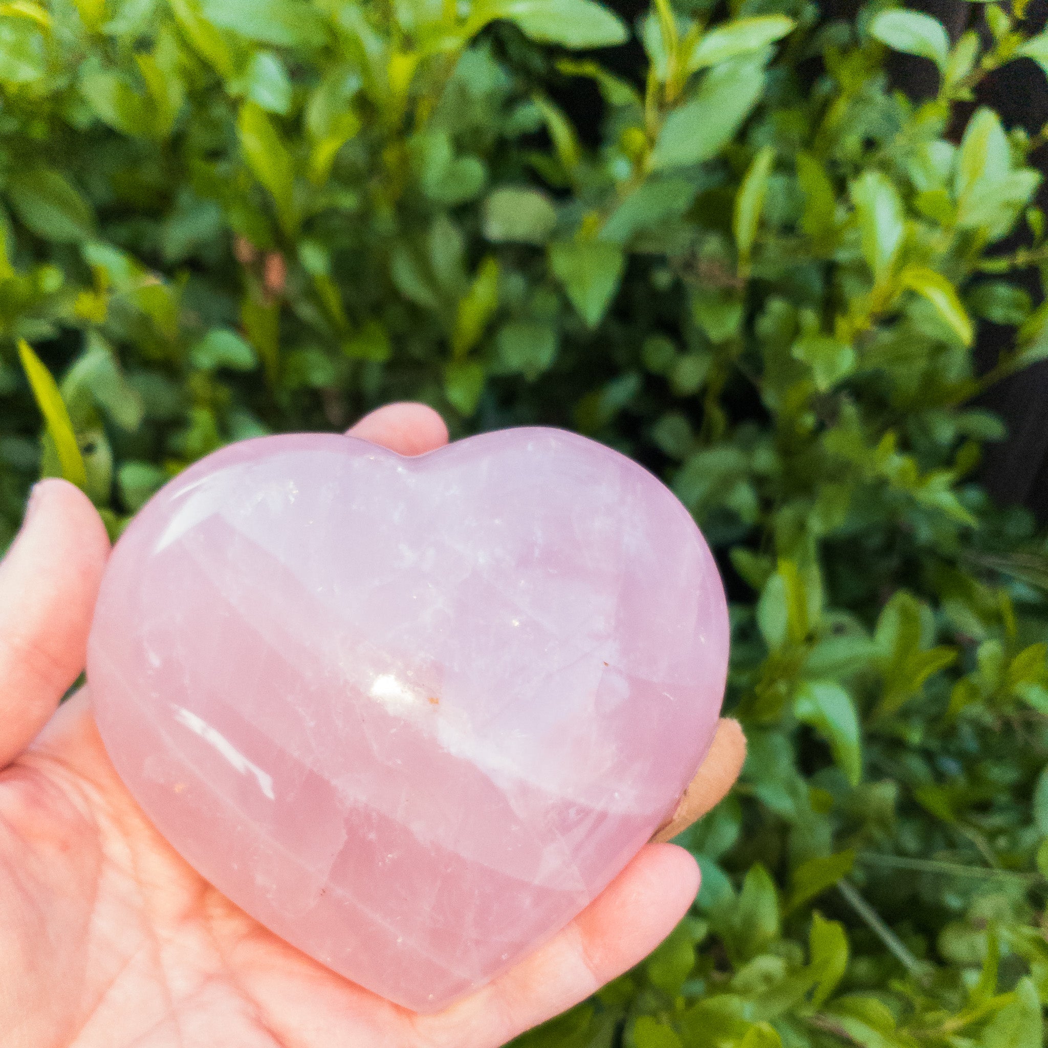 A collection of beautiful rose quartz hearts, showcasing their soft pink color and unique shapes, perfect for decoration or gifting.