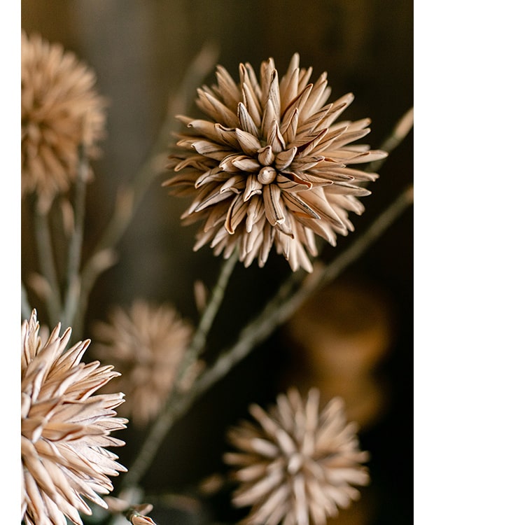 34-inch tall artificial Round Camel Color Ball Flower on a twig stem, featuring two ball-shaped flowers in camel color with brown branches.