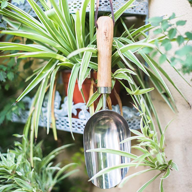 Rustic style pruning shears and gardening tools with wooden handles and stainless steel blades, arranged on a wooden surface.