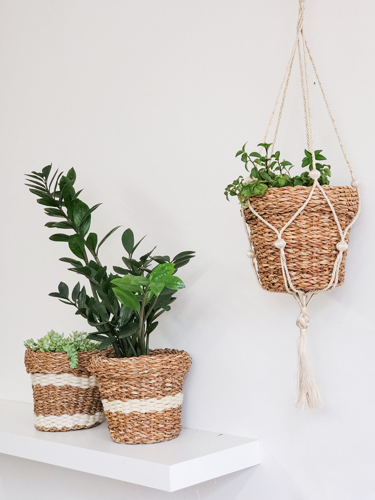 Savar Nesting Plant Basket made from sustainable seagrass, featuring a natural texture and three unique patterns, ideal for plant display.