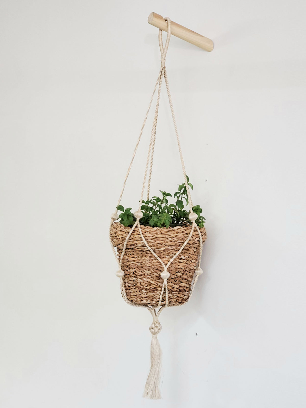 Savar Nesting Plant Basket made from sustainable seagrass, featuring a natural texture and three unique patterns, ideal for plant display.