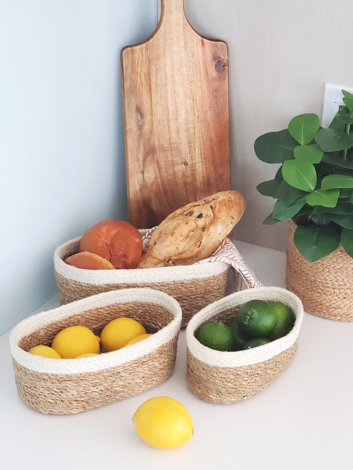 Set of 3 Savar Oval Bowls made from seagrass and jute, showcasing their natural and white colors.