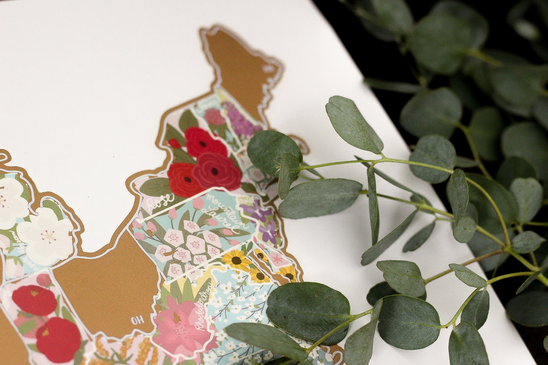 Scratch Your Travels® USA State Flowers Map with gold scratch-off finish, showcasing hand-drawn flowers for each state.