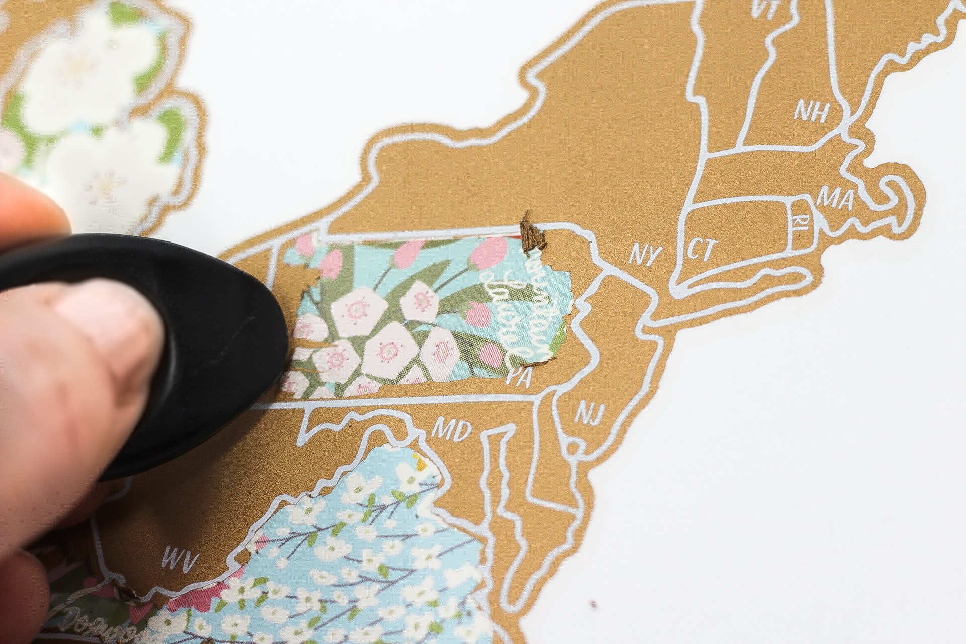 Scratch Your Travels® USA State Flowers Map with gold scratch-off finish, showcasing hand-drawn flowers for each state.