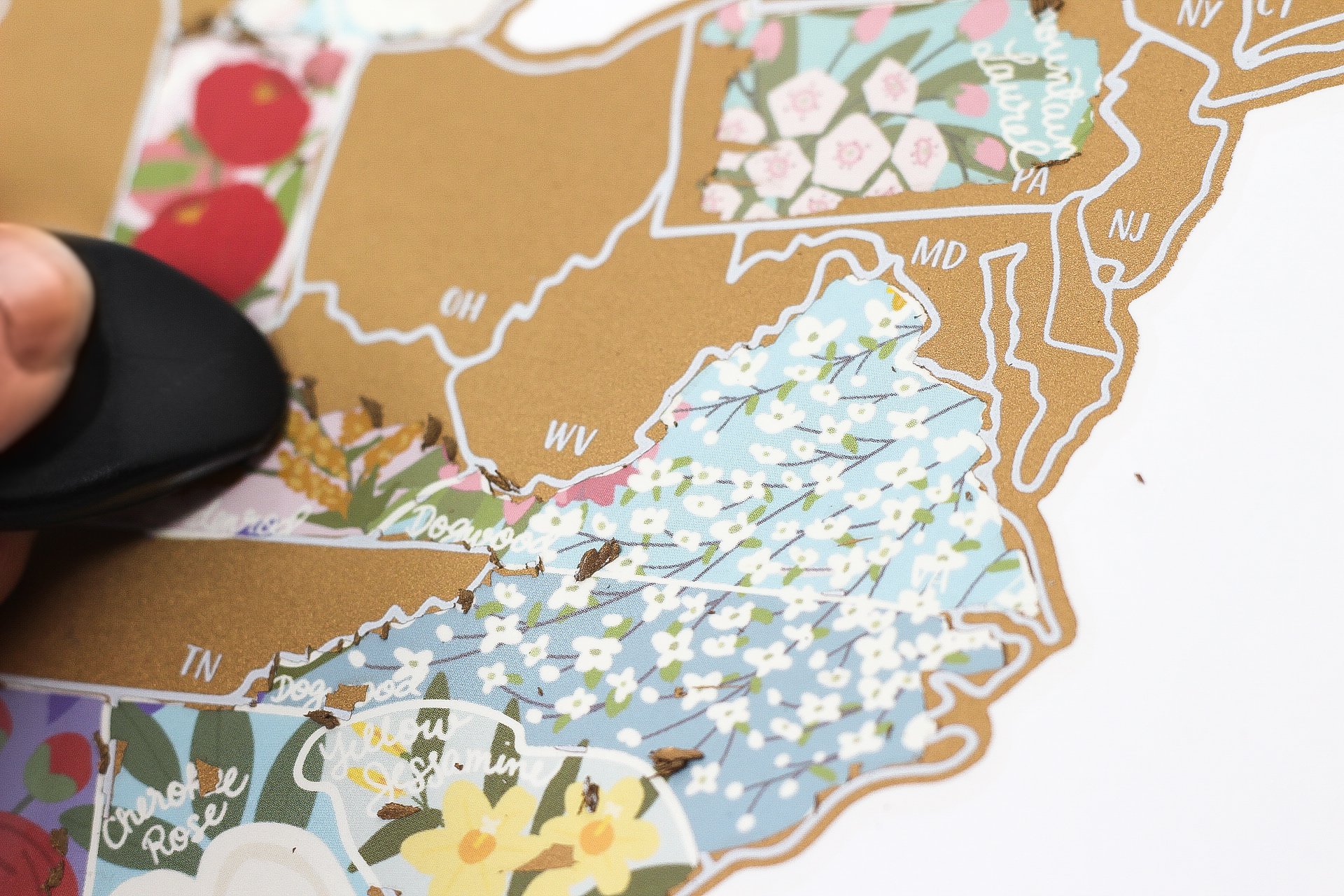 Scratch Your Travels® USA State Flowers Map with gold scratch-off finish, showcasing hand-drawn flowers for each state.