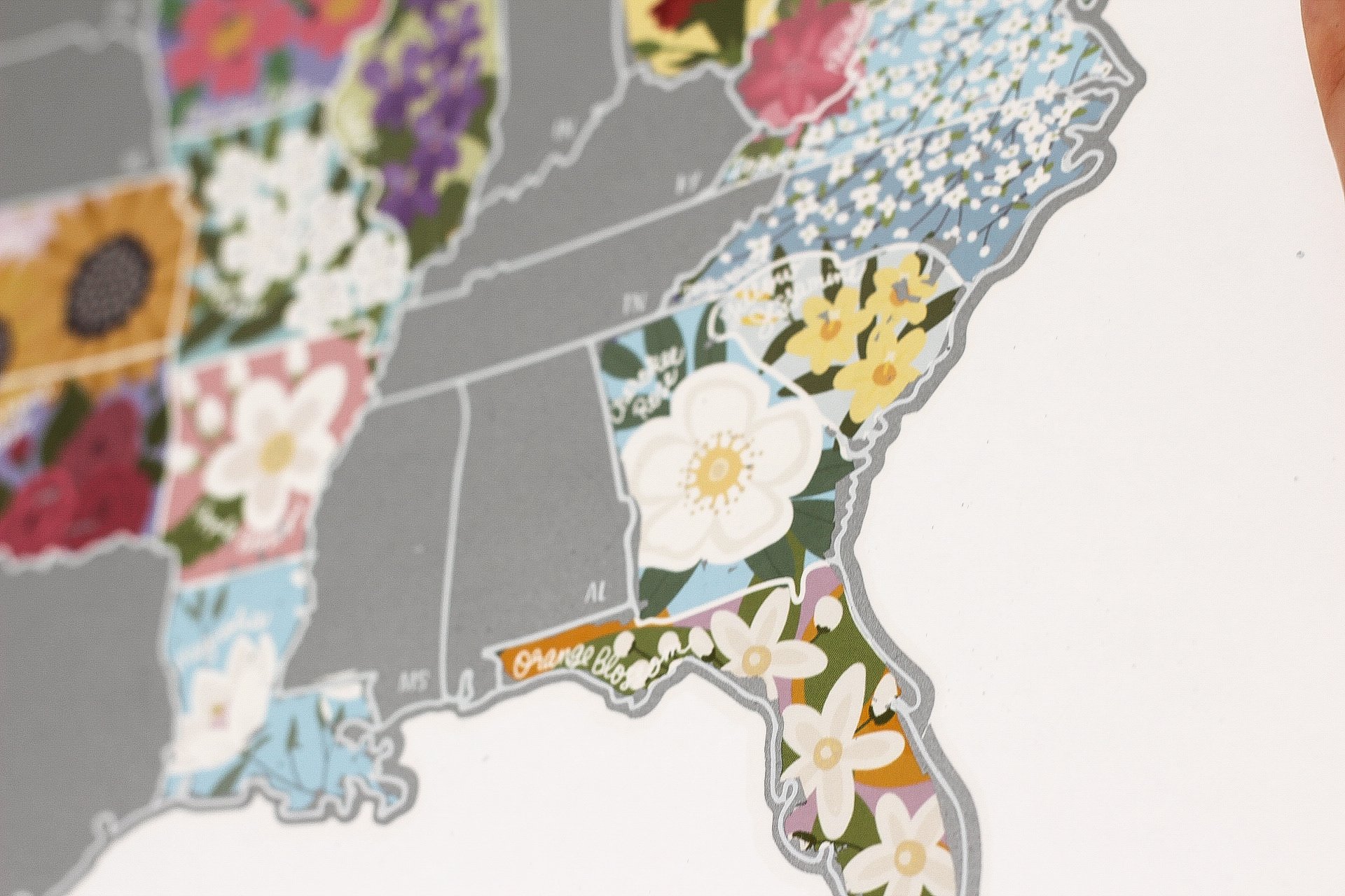 Scratch Your Travels® USA State Flowers Map with gold scratch-off finish, showcasing hand-drawn flowers for each state.