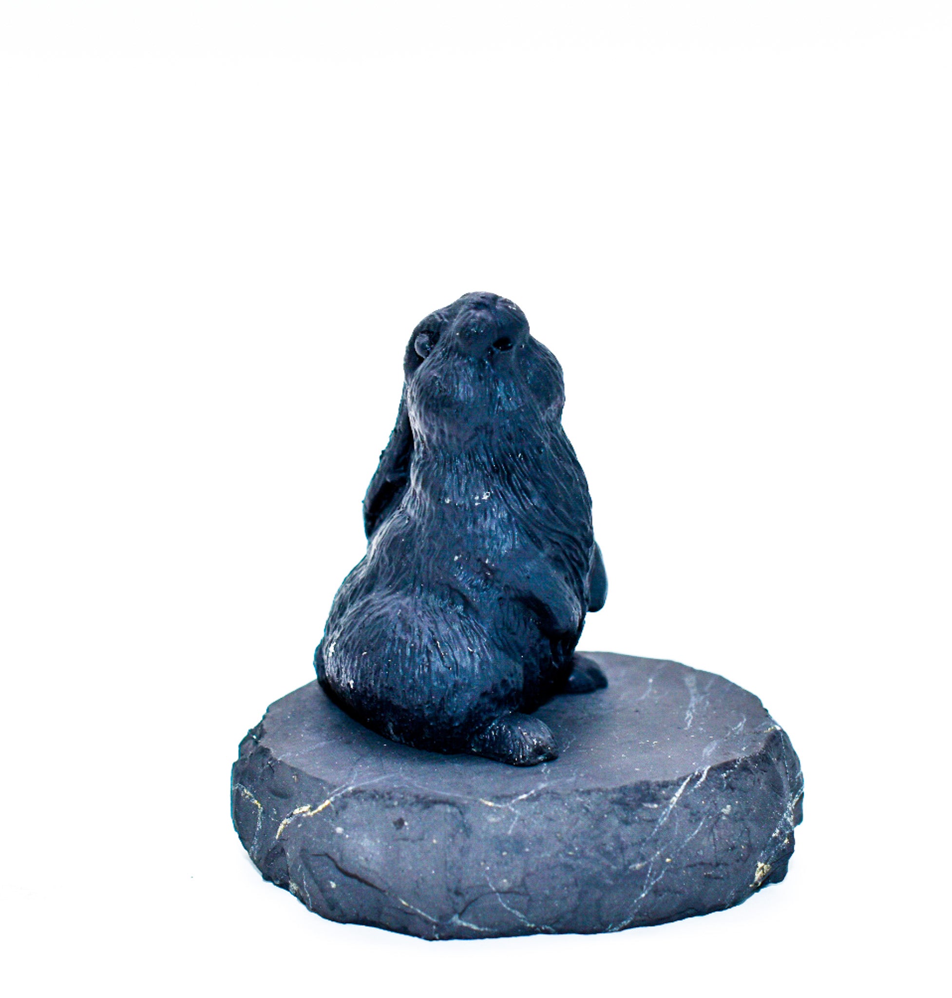 A collection of adorable Shungite Animal Figurines showcasing various animal designs, crafted from black shungite stone.