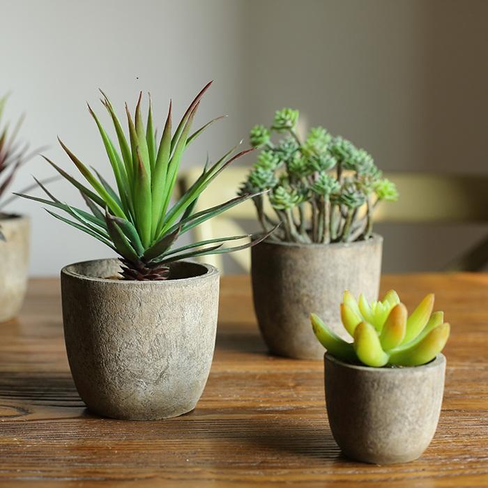 Set of 5 handmade artificial succulents in colorful planters, ranging from 2 to 4 inches tall, perfect for home or office decor.