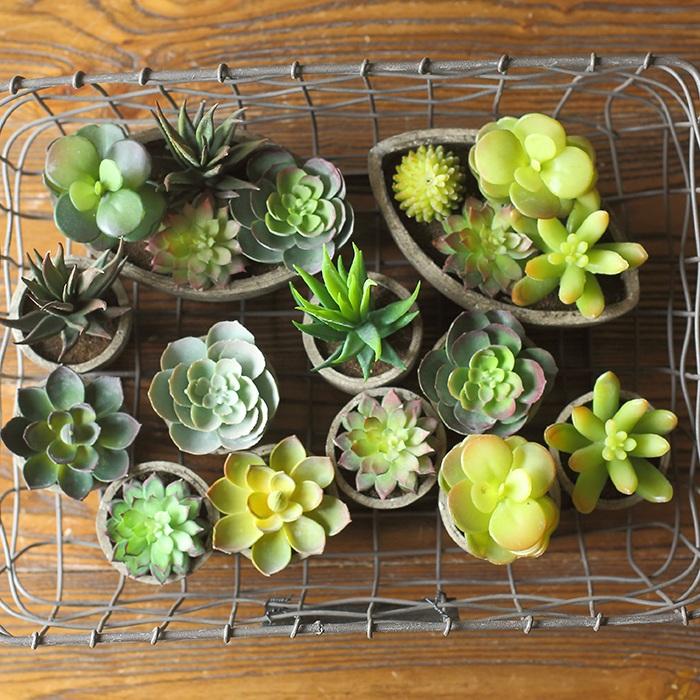 Set of 5 handmade artificial succulents in colorful planters, ranging from 2 to 4 inches tall, perfect for home or office decor.