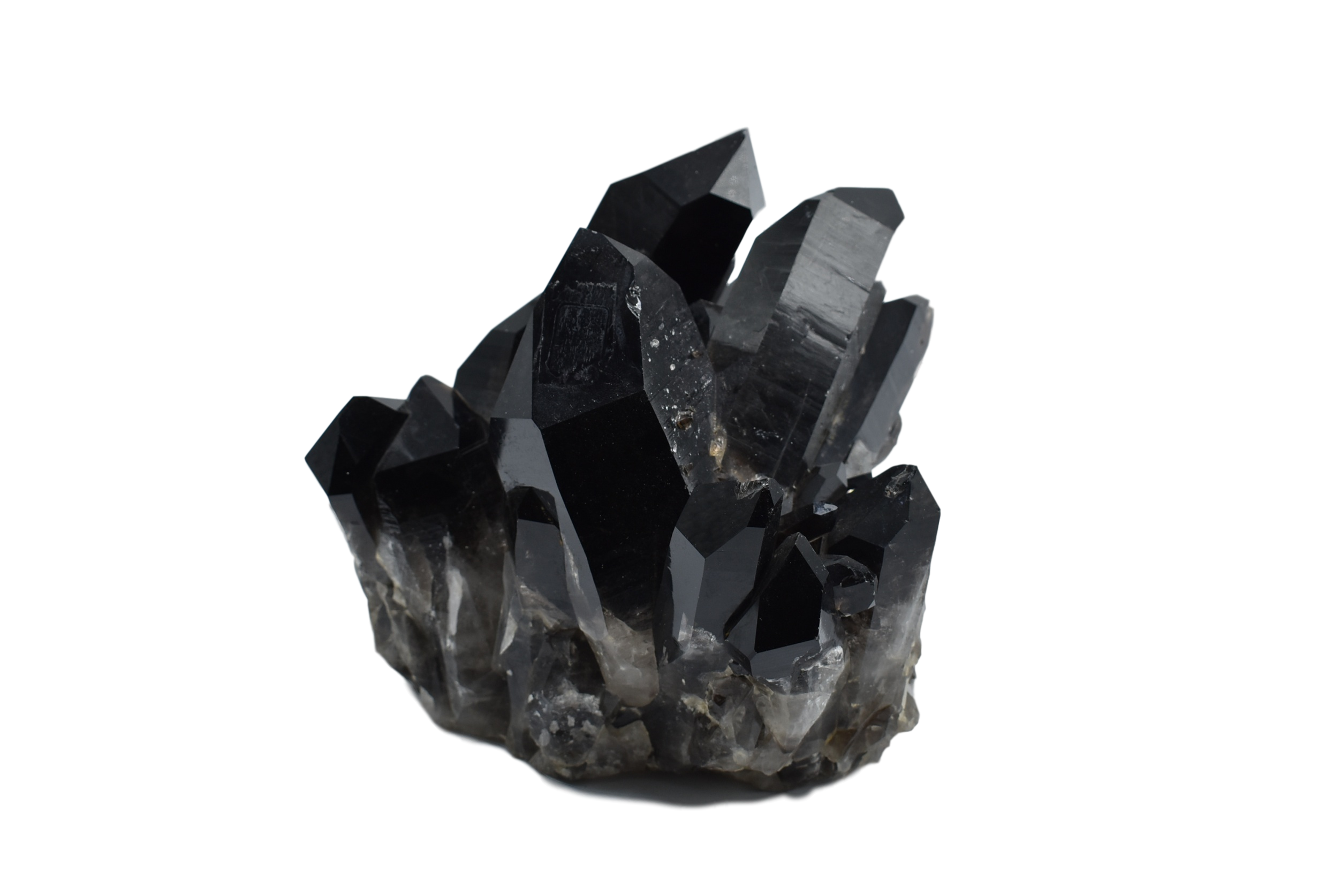 A large 11 lb Smoky Quartz Cluster specimen with prominent points, showcasing soft grey hues and a protective aura.