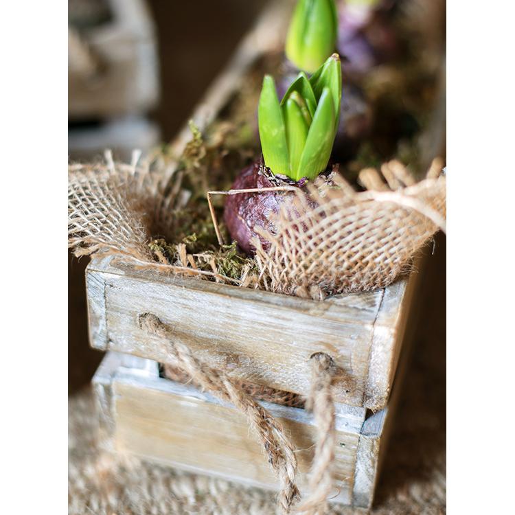 Solid wood crate with rope handles, showcasing natural wood finish and three available sizes.