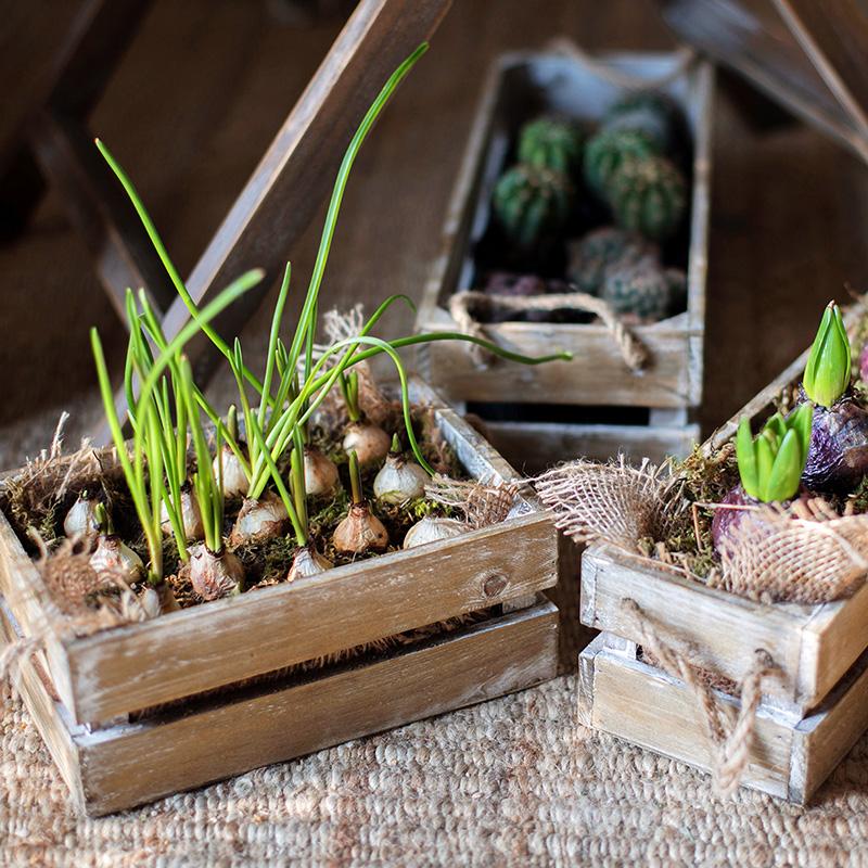 Solid wood crate with rope handles, showcasing a natural wood finish and sturdy design, perfect for storage and decor.