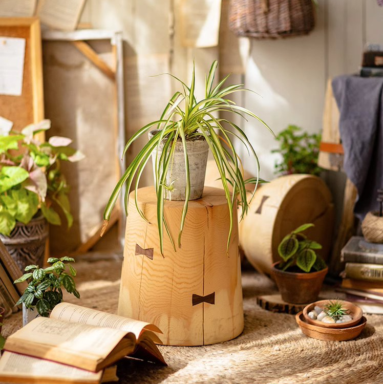 Solid Wood Natural End Table made from pine and walnut, showcasing unique wood grain and natural color.