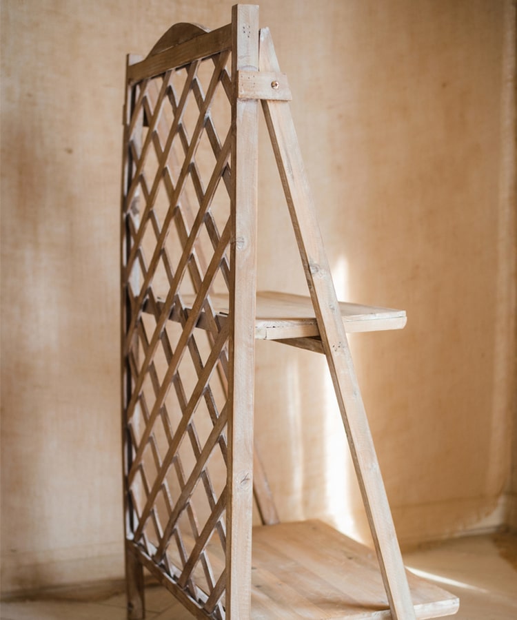 Solid Wood Two Tier Plant Stand Book Shelf in light brown, showcasing plants and books elegantly on two levels.