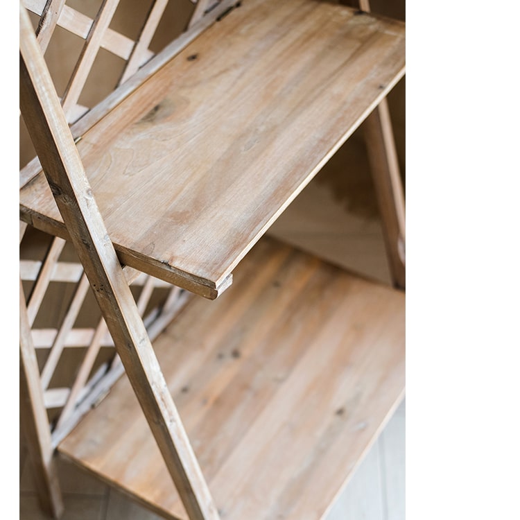 Solid Wood Two Tier Plant Stand Book Shelf in light brown, showcasing plants and books elegantly on two levels.