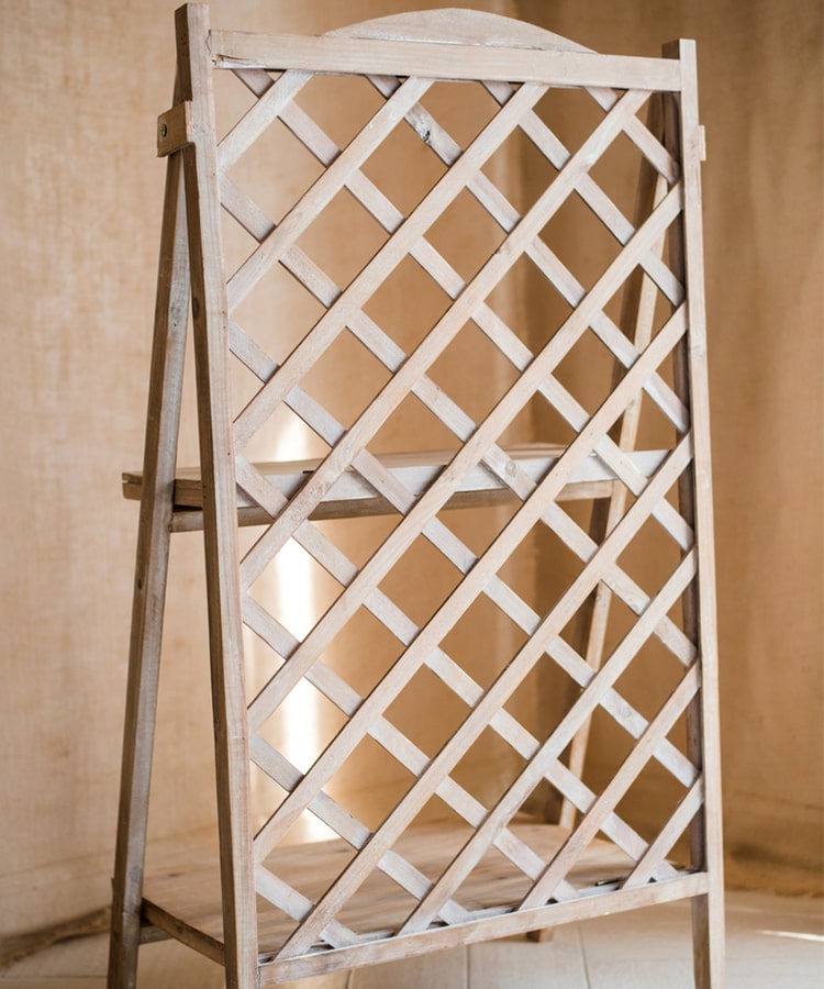 Solid Wood Two Tier Plant Stand Book Shelf in light brown, showcasing plants and books elegantly on two levels.