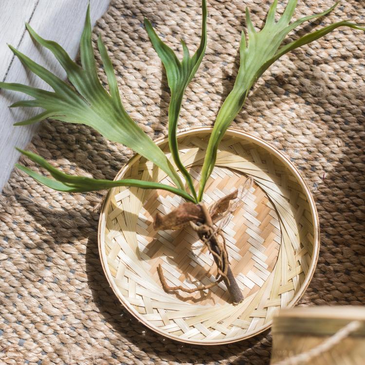 Southeast Asia Round Bamboo Tea Box Jar in natural bamboo color, showcasing its elegant round design and two size options.