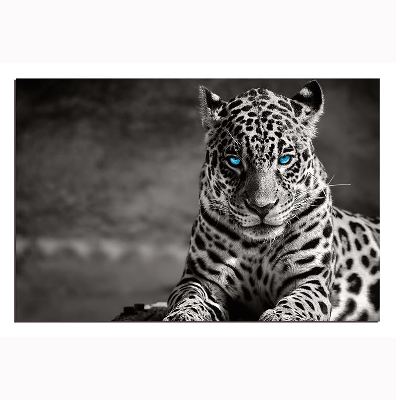 Spotted Leopard in Black and White Acrylic Print showcasing a detailed leopard design on a sleek acrylic panel, perfect for modern wall decor.