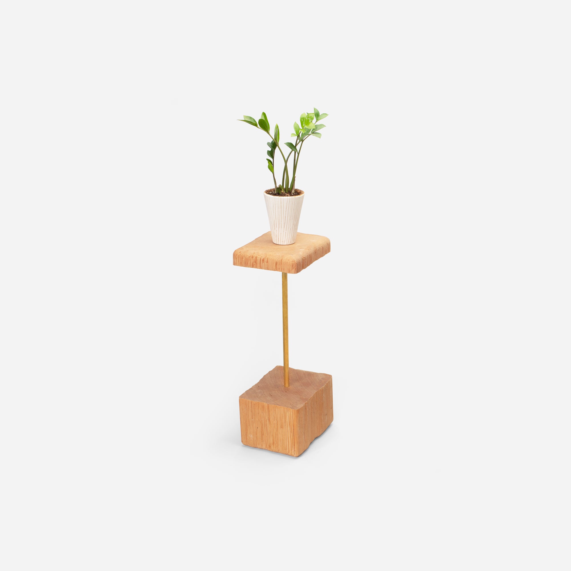 A stylish Stem plant holder made of natural wood, showcasing various plants in a modern living space.