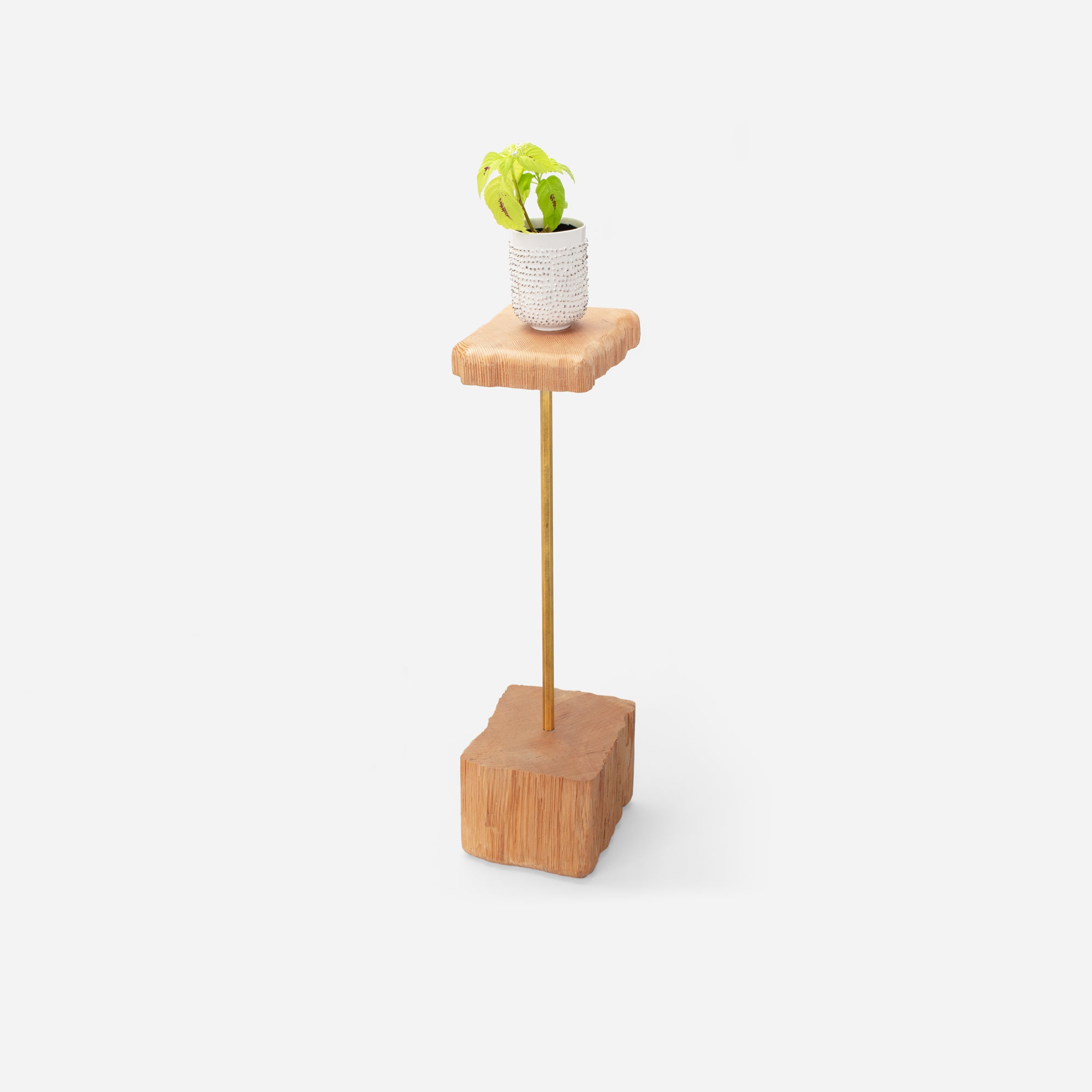 A stylish Stem plant holder made of natural wood, showcasing various plants in a modern living space.