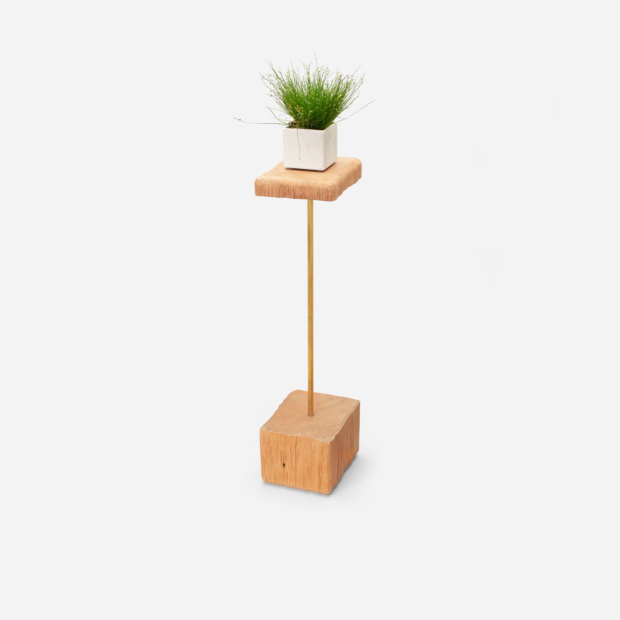 A stylish Stem plant holder made of natural wood, showcasing various plants in a modern living space.