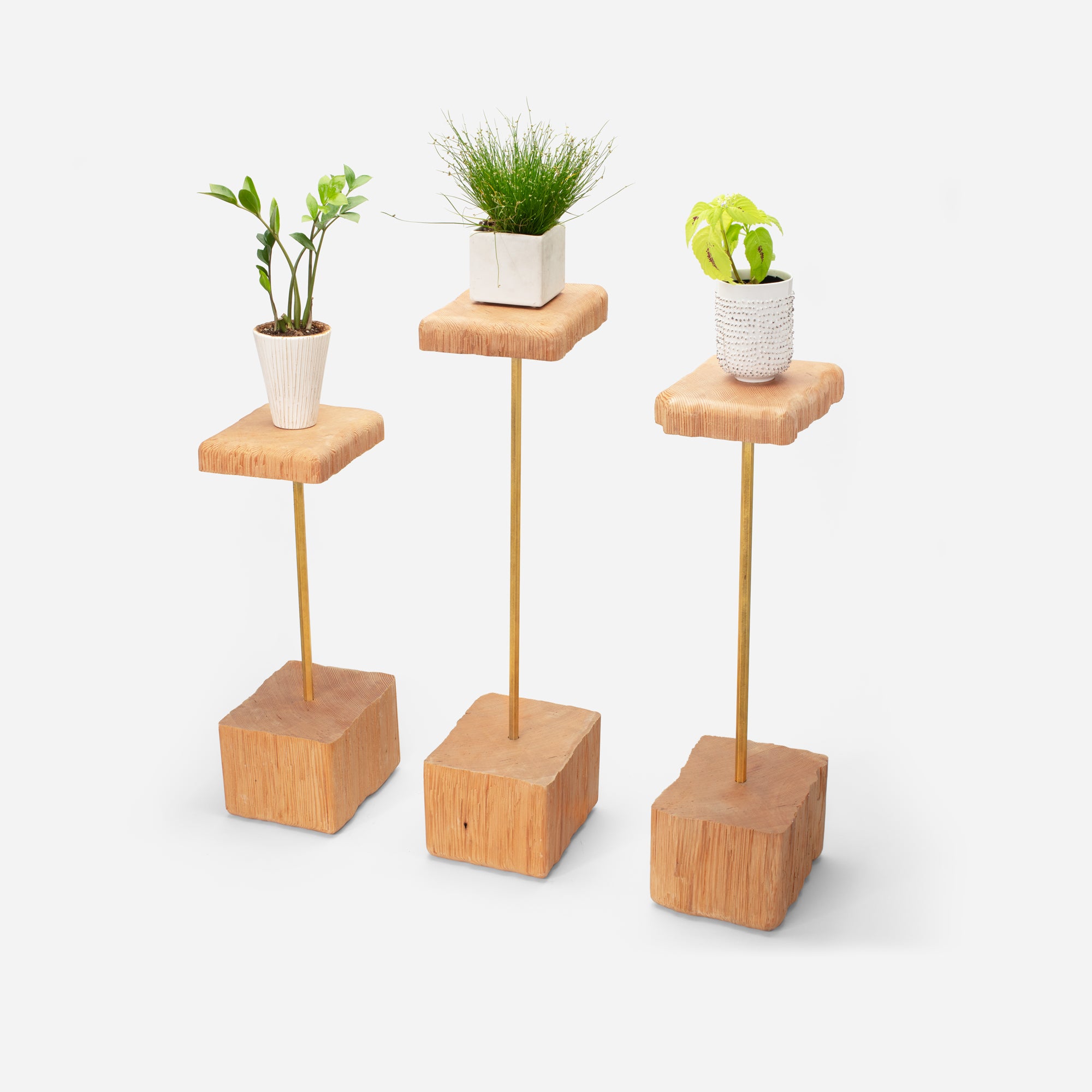 A stylish Stem plant holder made of natural wood, showcasing various plants in a modern living space.