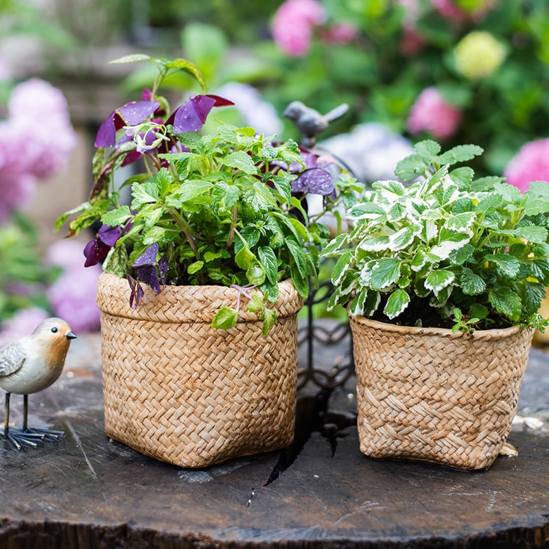 Straw Basket Style Concrete Planter in khaki color, showcasing its elegant design and drainage hole.