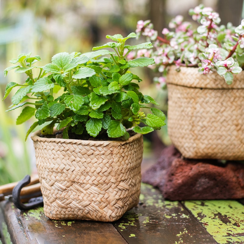 Straw Basket Style Concrete Planter in khaki color, showcasing its elegant design and drainage hole.