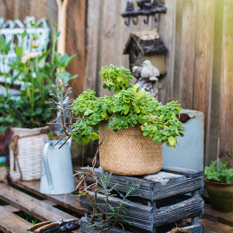 Straw Basket Style Concrete Planter in khaki color, showcasing its elegant design and drainage hole.