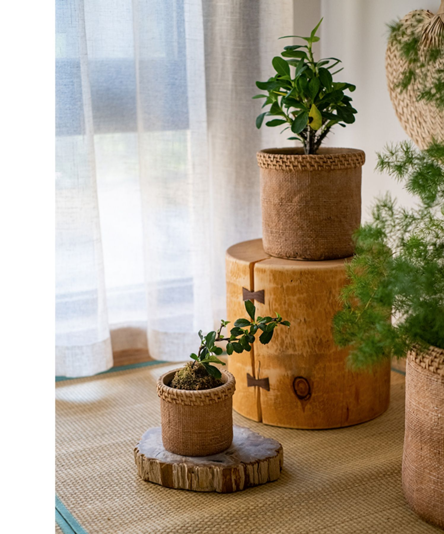 Straw Looking Concrete Planter in khaki color, showcasing its unique straw-like texture and drainage hole.