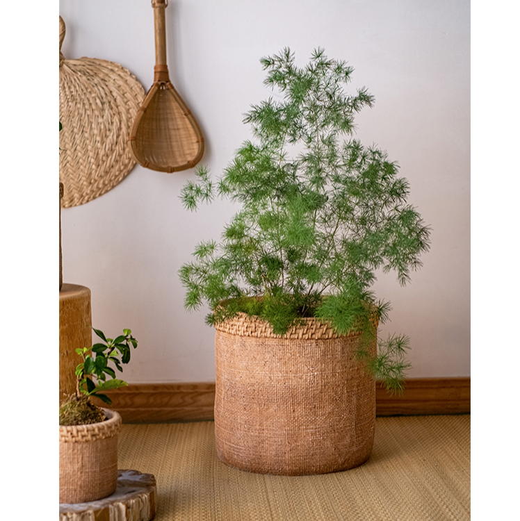 Straw Looking Concrete Planter in khaki color, showcasing its unique straw-like texture and drainage hole.