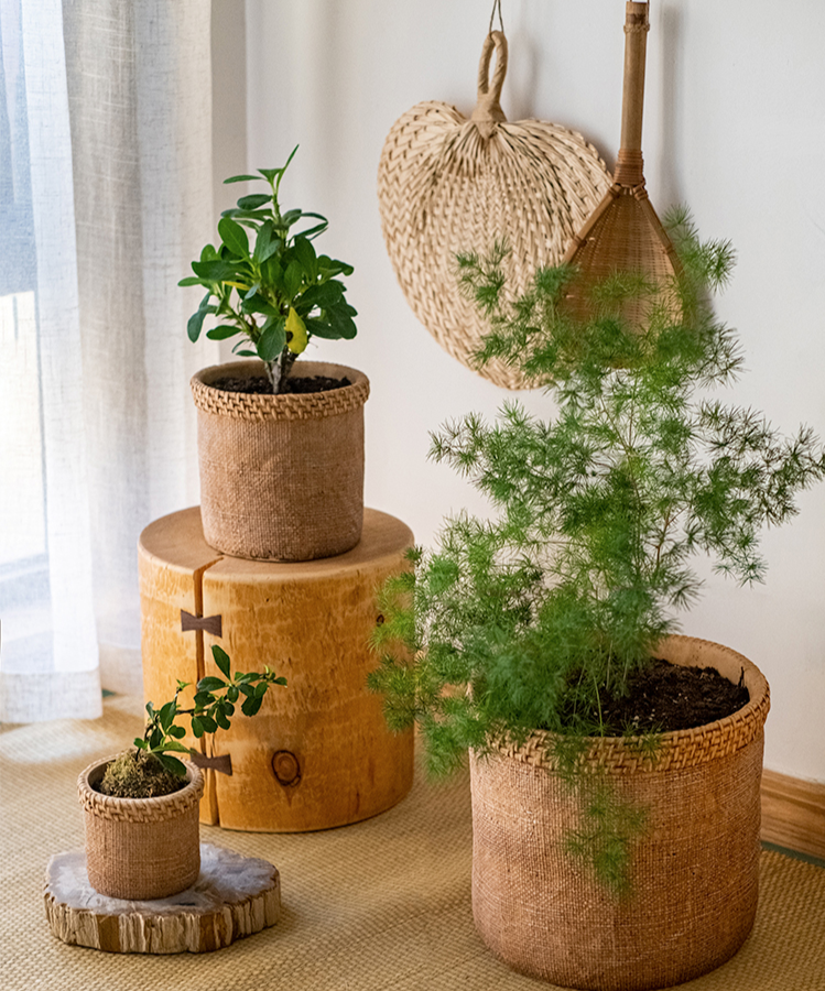 Straw Looking Concrete Planter in khaki color, showcasing its unique straw-like texture and drainage hole.