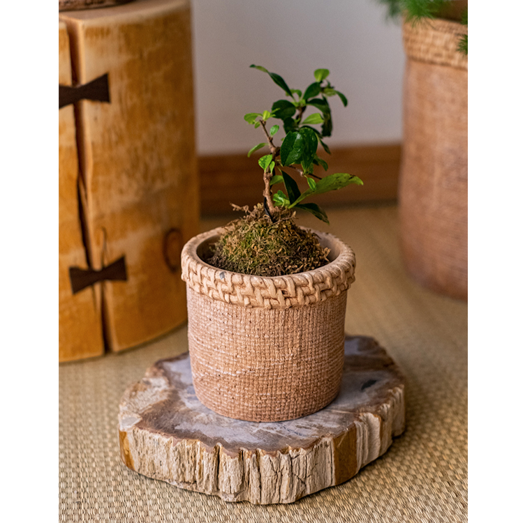 Straw Looking Concrete Planter in khaki color, showcasing its unique straw-like texture and drainage hole.