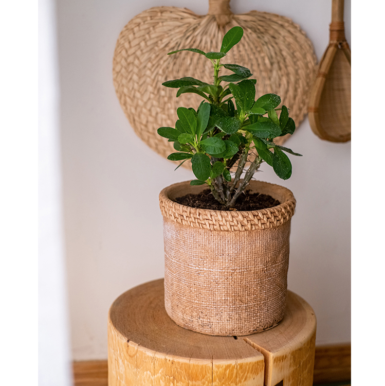 Straw Looking Concrete Planter in khaki color, showcasing its unique straw-like texture and drainage hole.