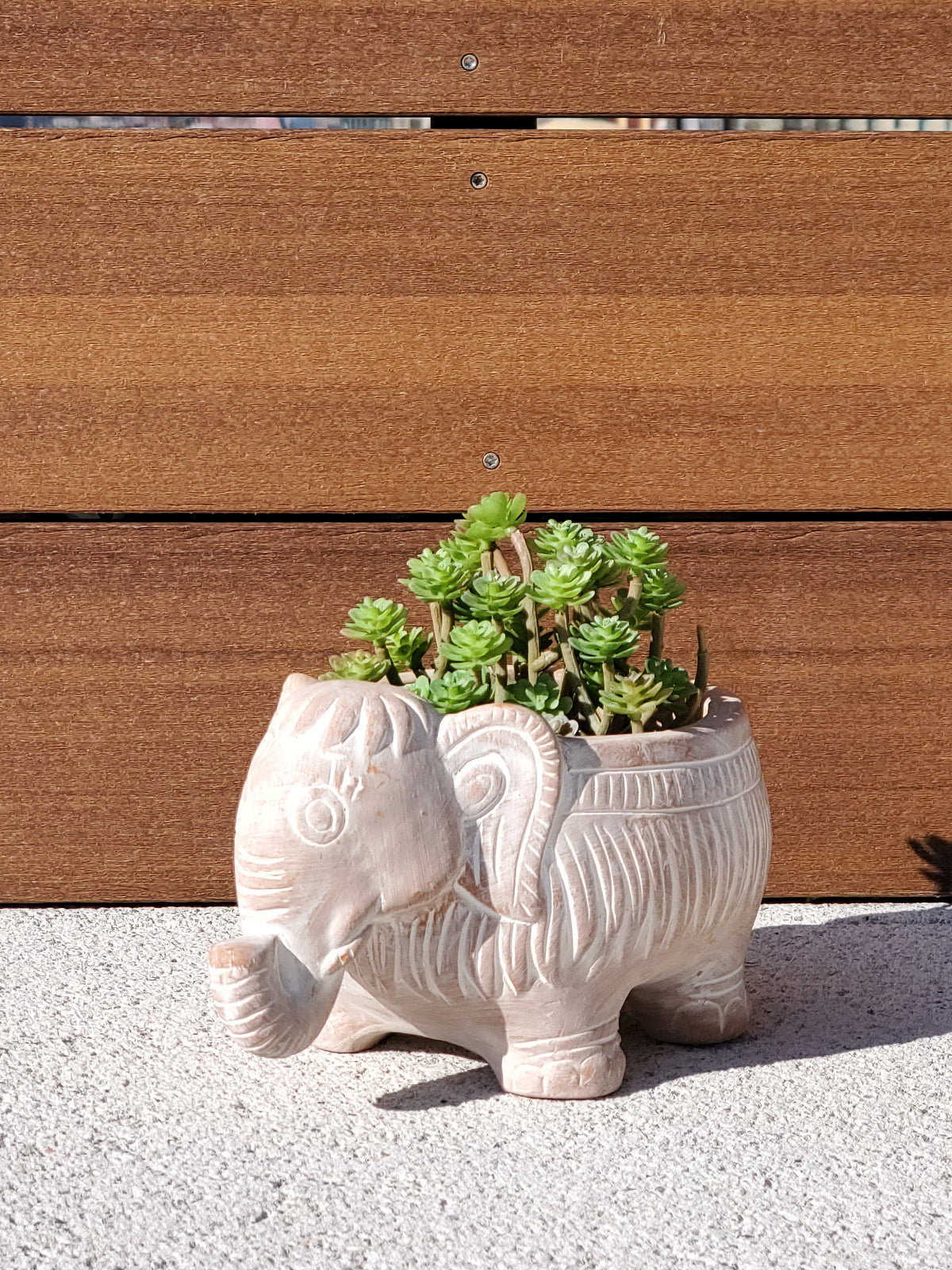 A charming terracotta elephant-shaped pot, perfect for colorful flowers and plants, showcasing its unique design and natural clay finish.