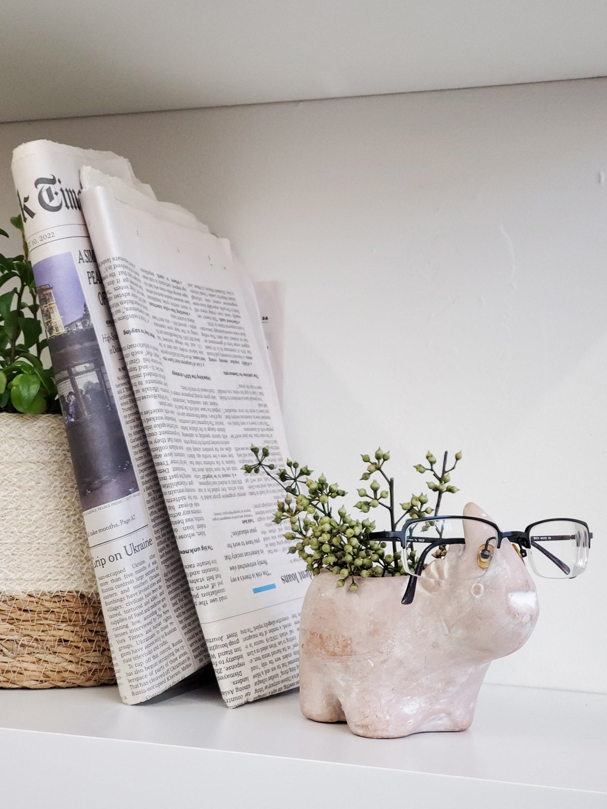 A whimsical terracotta pot shaped like a rhino, showcasing its natural clay finish and playful design, perfect for plants or as a decorative piece.